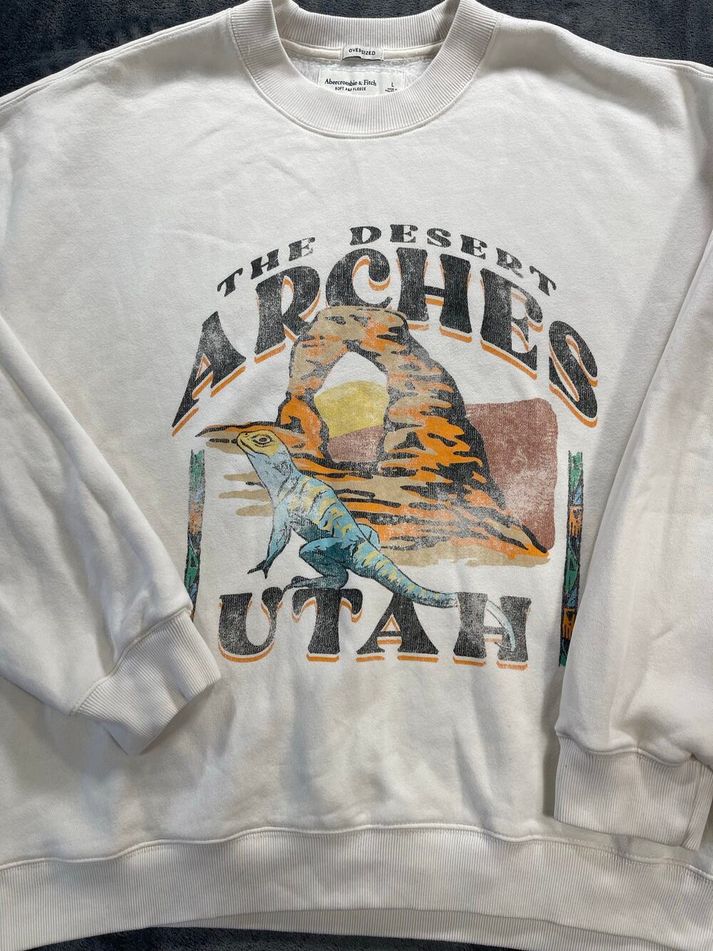 Abercrombie Fitch Oversized Sweatshirt Cream Desert Arches Utah Lizard Graphic L